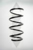 SPIDAN 56948 Coil Spring